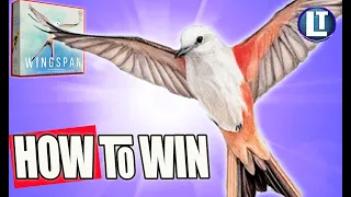 WINGSPAN Game / HOW DO YOU WIN With An AVERAGE START? / STRATEGY Tips and Ideas