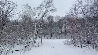 First snowfall of the year in Ottawa