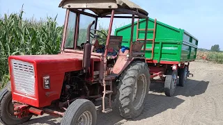 rozwożenie obornika po przenicy |rusek w akcji| siedzenie polonu i Władek z gabarytami||😲😈🔥