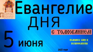 Евангелие дня с толкованием  5 июня  2022 года 90 псалом