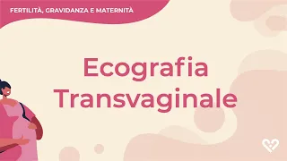 Ecografia transvaginale: a cosa serve e perché si fa?