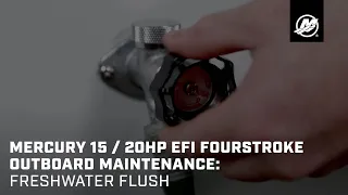 Mercury 15 / 20hp EFI FourStroke Outboard Maintenance: Freshwater Flush