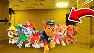 LA PAW PATROL ATRAPADA EN EL BACKROOM EN MINECRAFT 😱