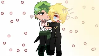 “Are we gay?!”||ft-zoro and sanji||zosan||One piece||