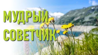 🔹МУДРЫЙ СОВЕТЧИК-Отец-Абсолют-ЧЕННЕЛИНГ