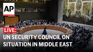 LIVE: UN Security Council discusses the situation in Middle East