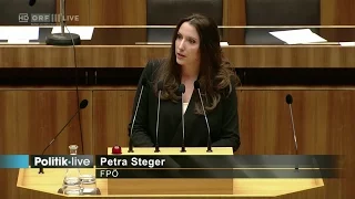 Petra Steger - direkte Demokratie - 11.11.2015