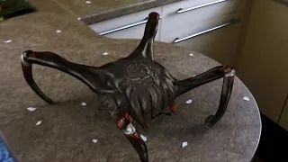 Venom headcrab in real life