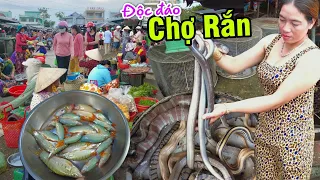 Chợ Rắn, Chim, Chuột, Cá Đồng nhiều nhất Miền Tây ở Bàu Sậy - Long An