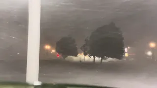 Destructive 80mph winds Portland, MI 8/24/2023