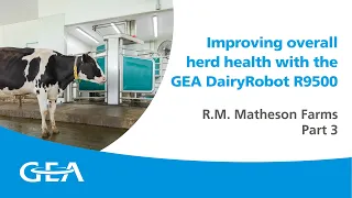 Improving overall herd health with the GEA DairyRobot R9500 – R.M. Matheson Farms – Part 3