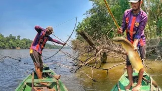 Pescaria Diferenciada//Chico é o nome da Fera🏹🐟pescaria de arco e flecha #amazonas #arcoeflecha