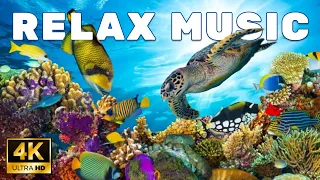 Marine 4K Ultra HD Relax Music | Meditation Relaxing Music | The Ocean 4K | Anti-Stress Music | Йога
