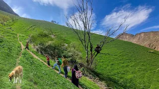 Finding herbal remedies with the help of twin girls.  Iranian nomadic life