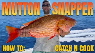 MONSTER Mutton Snapper Bottom Fishing off Miami | Catch Clean Cook