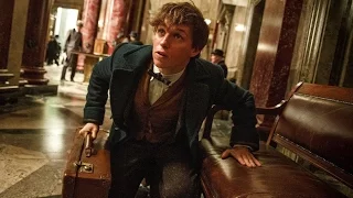 Фантастические твари и где они обитают (Fantastic Beasts and Where to Find Them, 2016) трейлер