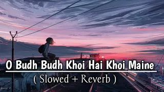 O sudh budh khoyi hai khoyi Maine - (slowed + Reverb) | Tose naina |  Arijit Singh | lofi mix