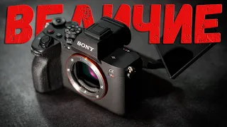 Sony a7r V | Унижает и обжигает...или нет?