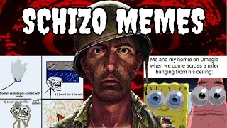 Explaining Schizo Memes