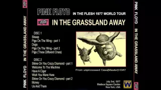 Pink Floyd - In The Grassland Away (Live MSG, New York 1977-07-02)