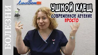 Ушной клещ у кошек. Как лечить в 21 веке?