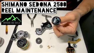 SHIMANO SEDONA 2500 - TAKE APART - SPINNING REEL MAINTENANCE