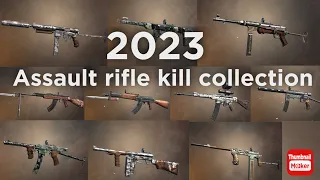 WORLD WAR HEROES. Assault rifle kill collection. 2023. All max weapon(+24)