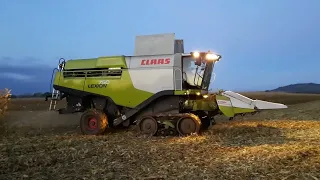 Claas Lexion 750 combining maize