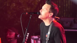 Blink 182 - The Rock Show - 2017 Lollapalooza