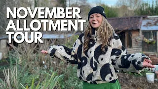 November Allotment Tour of my 640sqm Plot | UK Garden