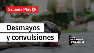 Desmayos y convulsiones en perros y gatos | Enrique Vallejo