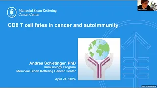 "CD8 T cell fates in cancer and autoimmunity" by Dr. Andrea Schietinger