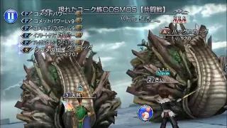 [DFFOO JP] - Amidatelion Cosmos Coop (w/ commentaries)