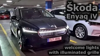 Škoda Enyaq iV: welcome lights (with illuminated grille)