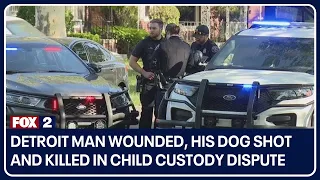 Detroit man wounded, his dog shot and killed in child custody dispute