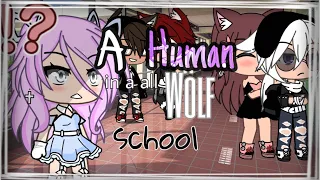 A human in a all wolf school | Gacha life || GLMM