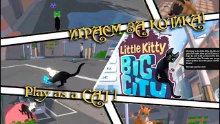 ☪ Little Kitty Big City ❂ симулятор кота ☪ cat sim ☪40❂RU❂EN☪ Первый взгляд ❂ Let`s try