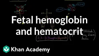 Fetal hemoglobin and hematocrit | Human anatomy and physiology | Health & Medicine | Khan Academy