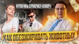 Купи мне сумочку "ДИОР". Как обезжиривать животных. Денис Байгужин.