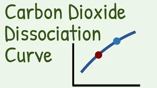 Carbon Dioxide Dissociation Curve