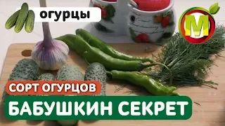 БАБУШКИН СЕКРЕТ - Садовый Мир и Агрофирма Аэлита