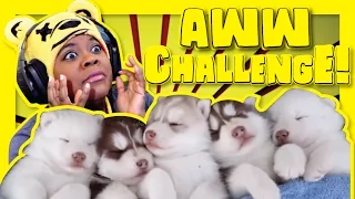 The Try Not To Say Aww Challenge | Puppies | AyChristene Reacts