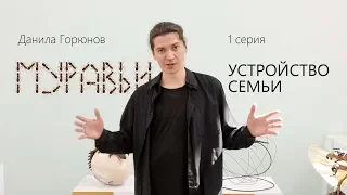 МУРАВЬИ 1 серия Устройство семьи. Данила Горюнов