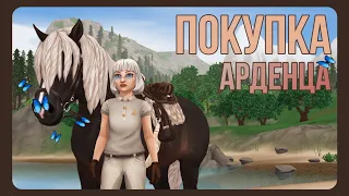 покупка АРДЕНСКОЙ лошади | Star Stable