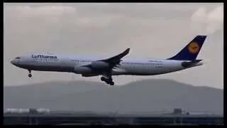 Lufthansa - Airbus A340-300's - Landing + Close-ups at FRA