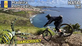 Gefährliche Tiere auf Madeira? | NATAL TRAIL Abschnitt aus Enduro World Series | SPECIALIZED ENDURO