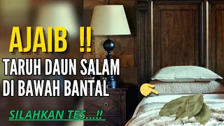 DAUNNYA NABI KHIDIR !! Taruh 3 Lembar Daun Salam Di Bawah Bantal  !? Inilah Yang Terjadi