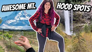 Come Explore Mt. Hood with My Friends and Me!