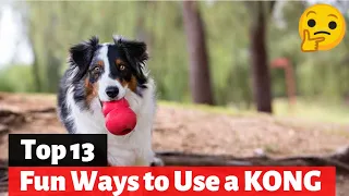 How To Use Kong Dog Toy | Everything About The BEST Dog Toy