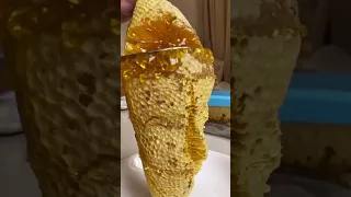 Honey million dollars skill brave# millionaire#harvesting honey#🍯🍯😋#beehive by hands#